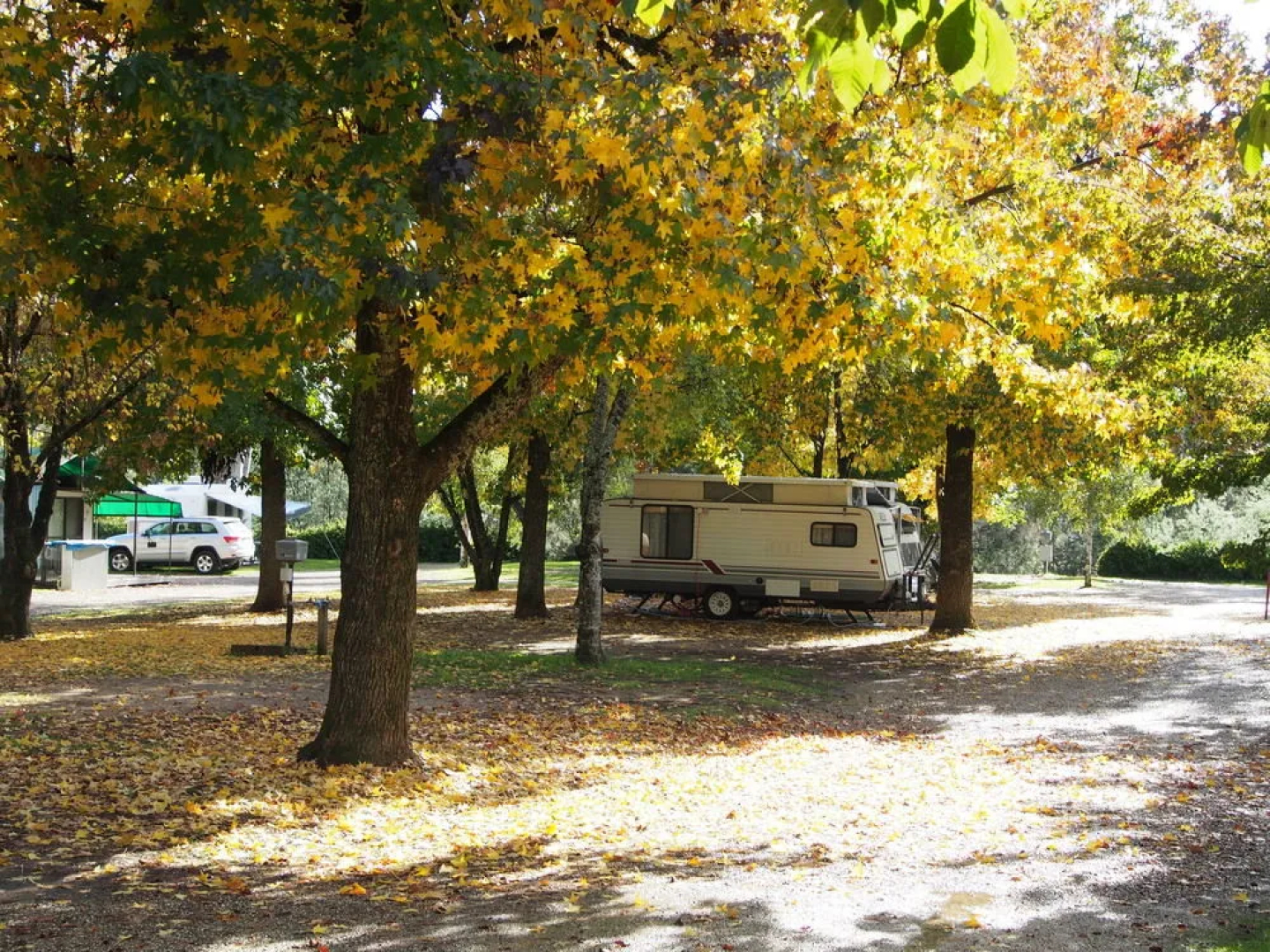 Porepunkah Pines Holiday Park