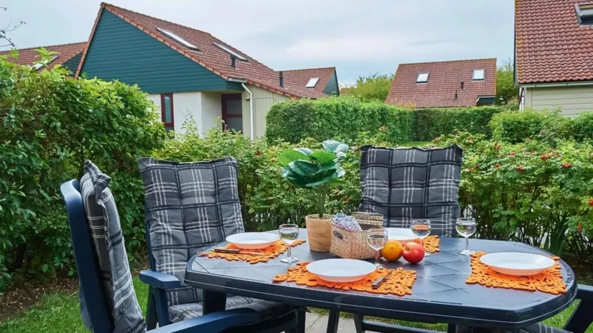 HVZ Iris Wellness 4p