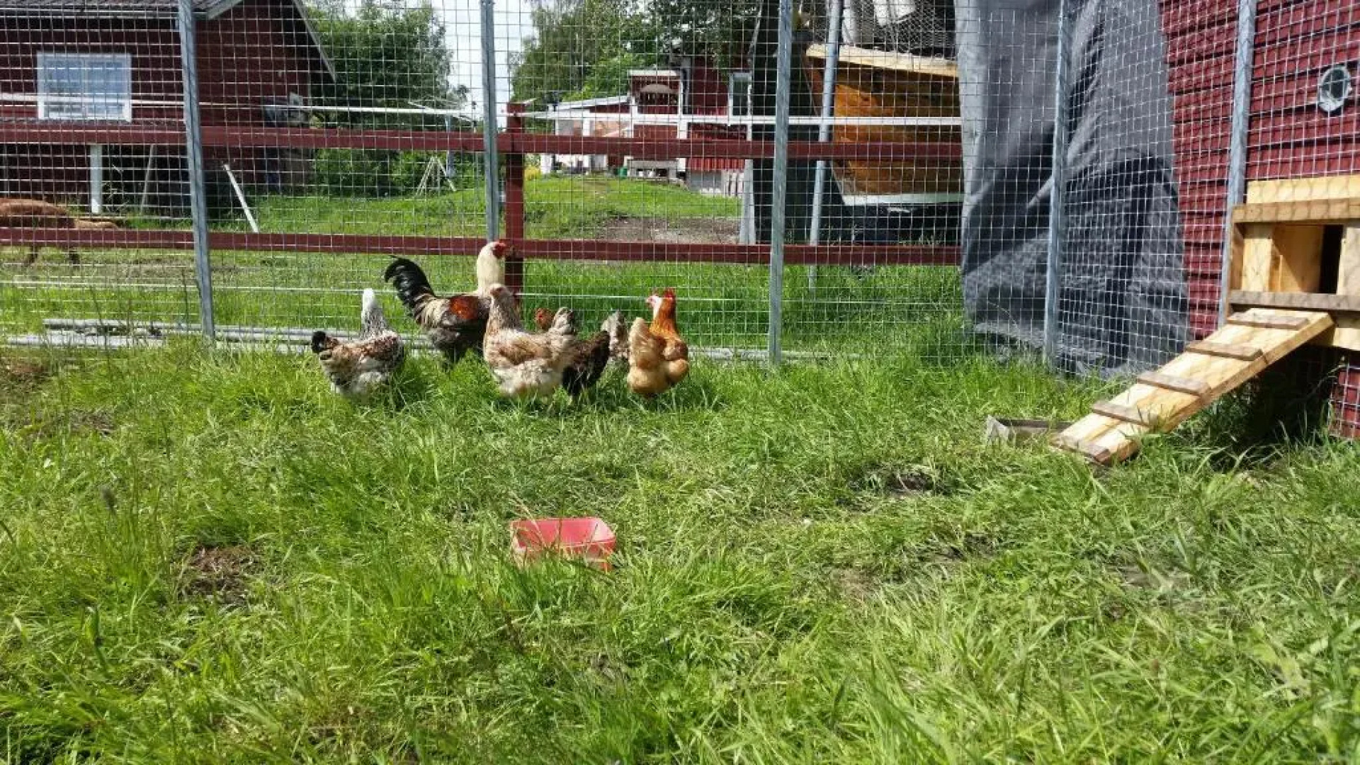 Haga gård och Stall