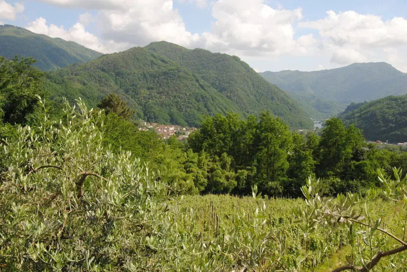 Tenuta La Fratta Apartments