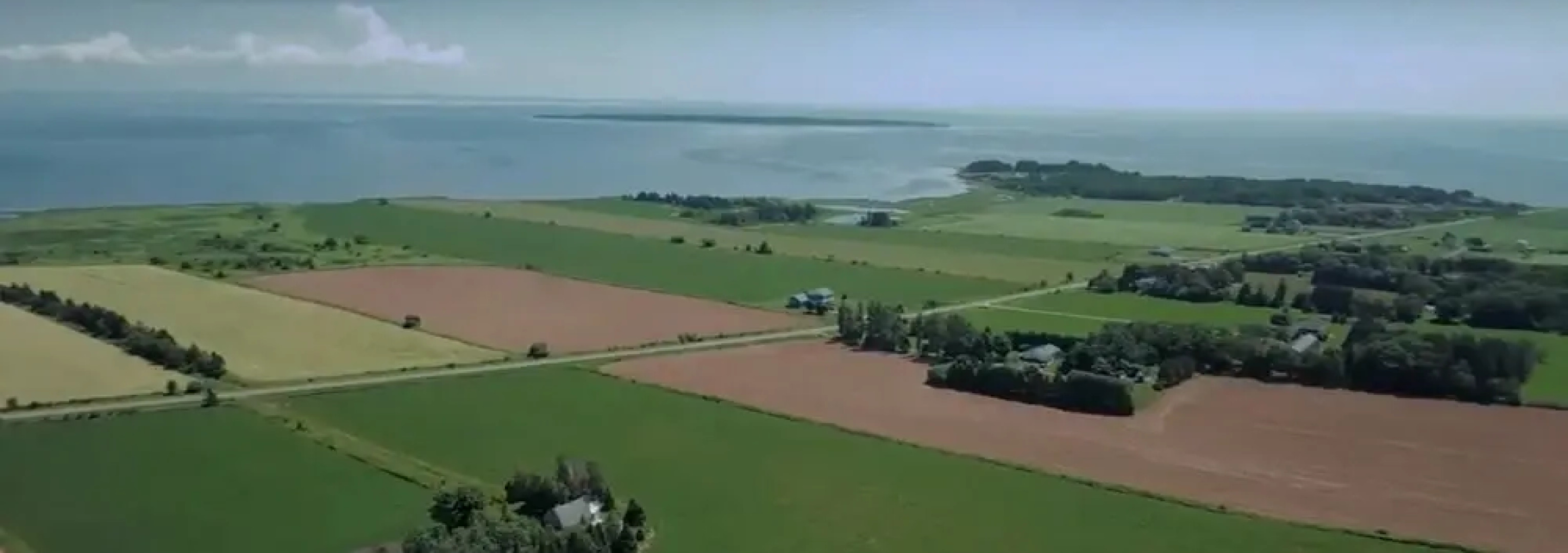 Tremere's Oceanview Cottages