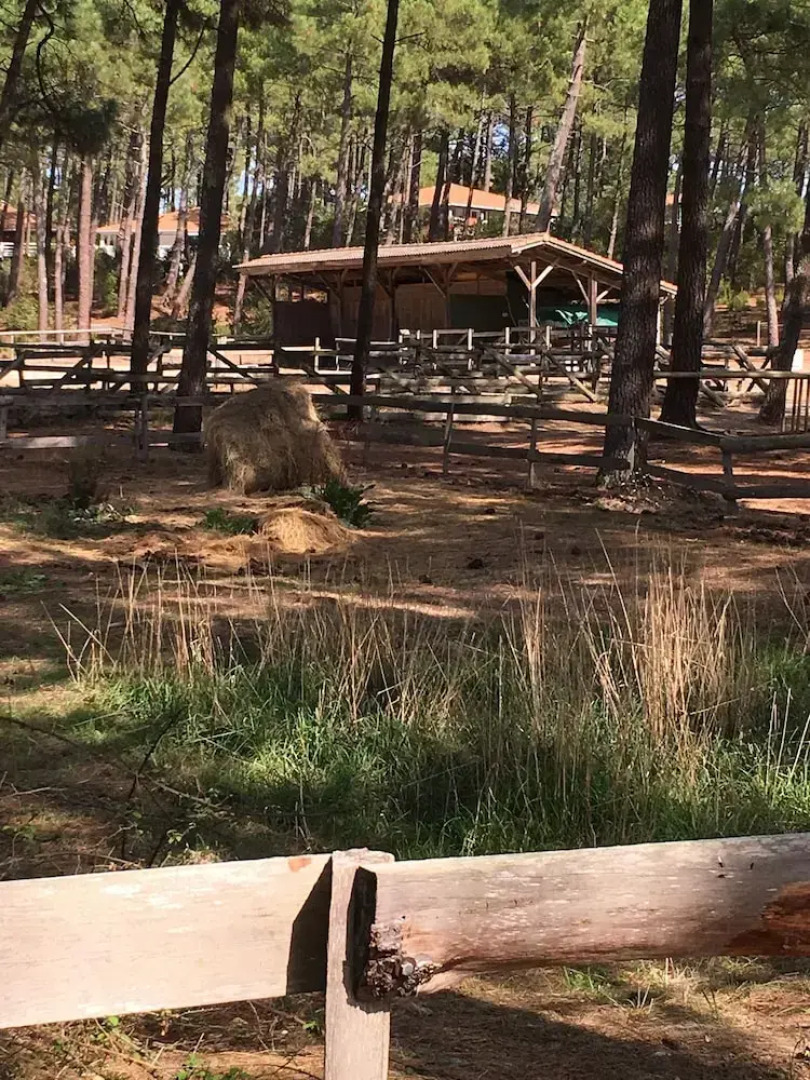 Chalet Orange Naturiste la Jenny