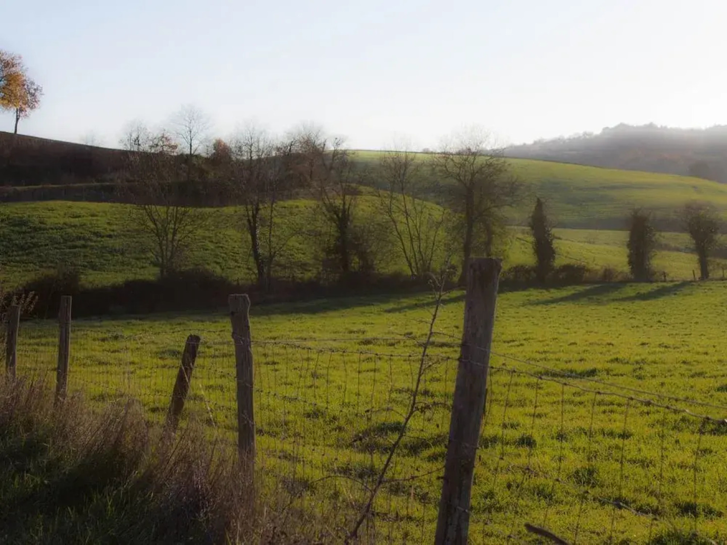 Country House near Saturnia