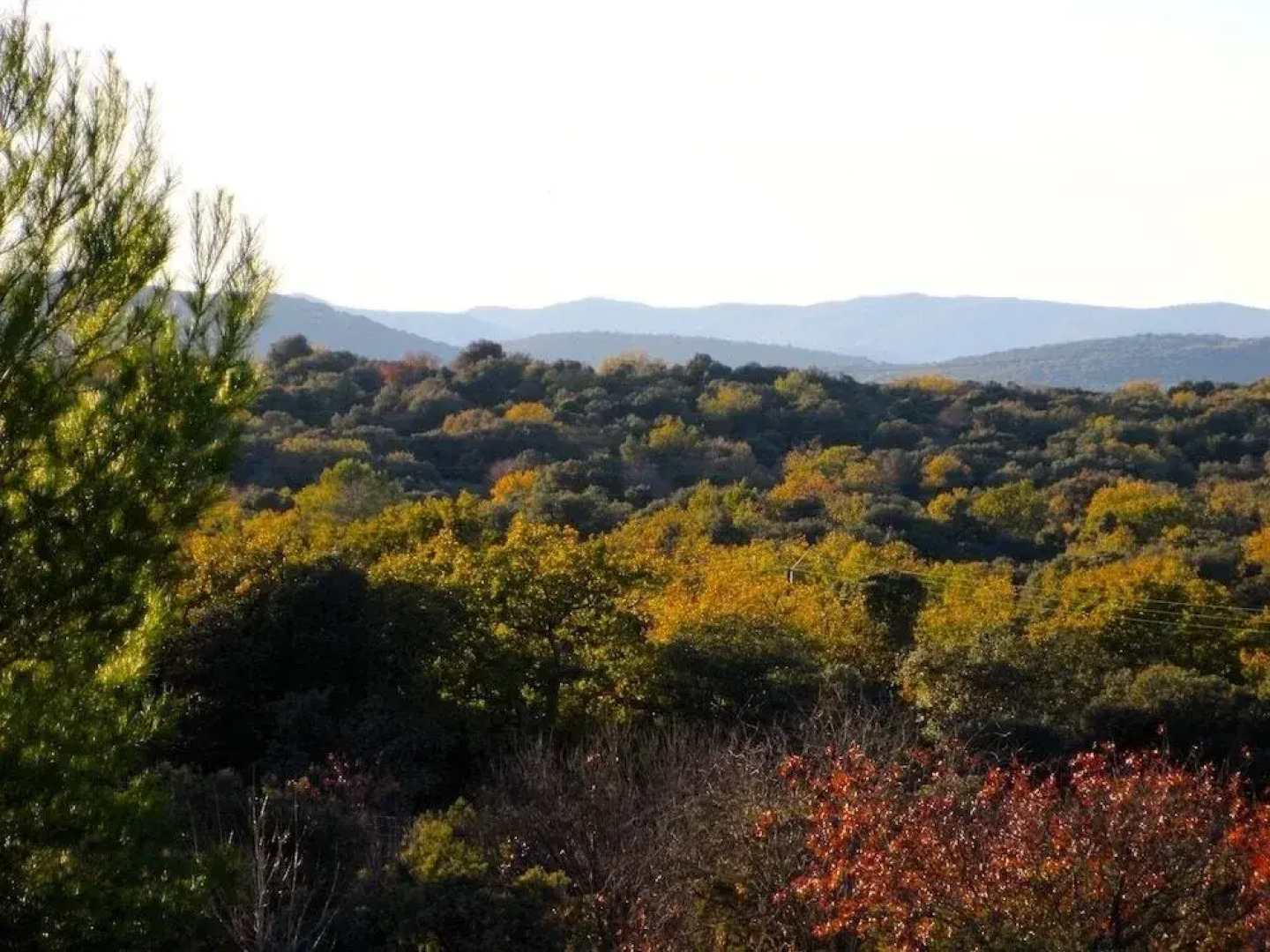 Le Mas de La Draille