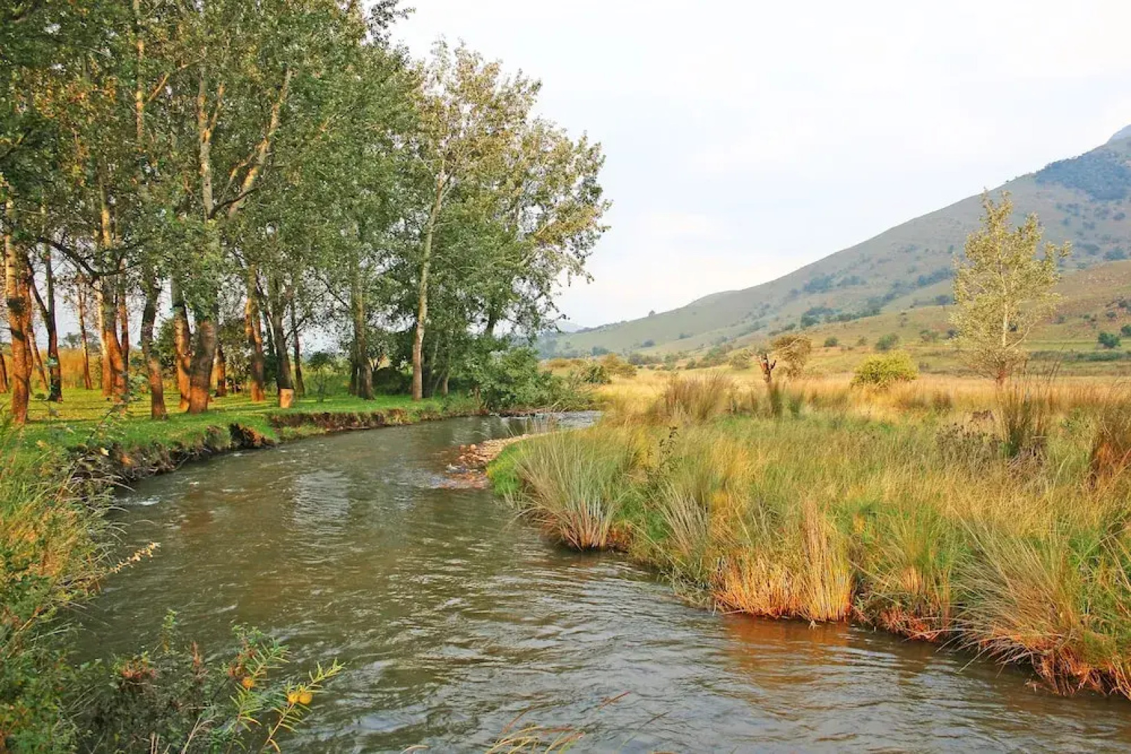 Verlorenkloof Estate