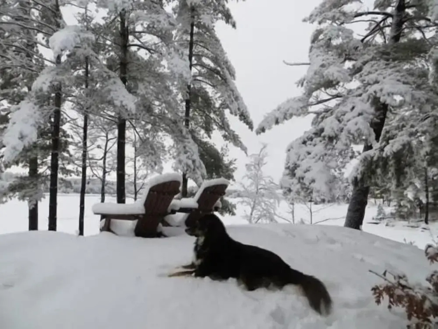 Westwind Inn on the Lake