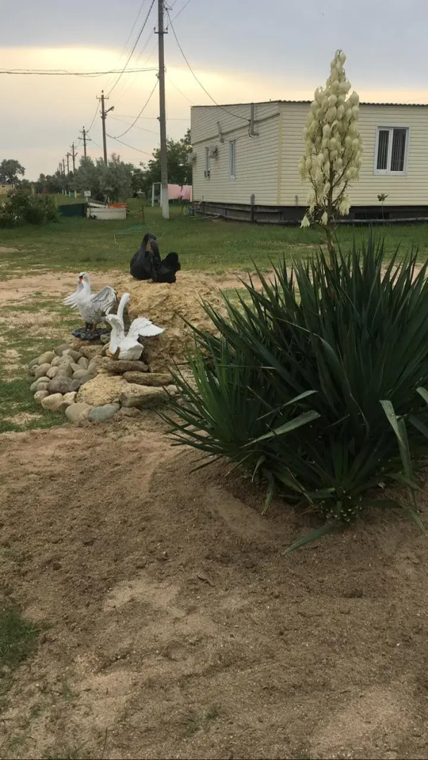 Pansionat "Lebjazhij bereg"