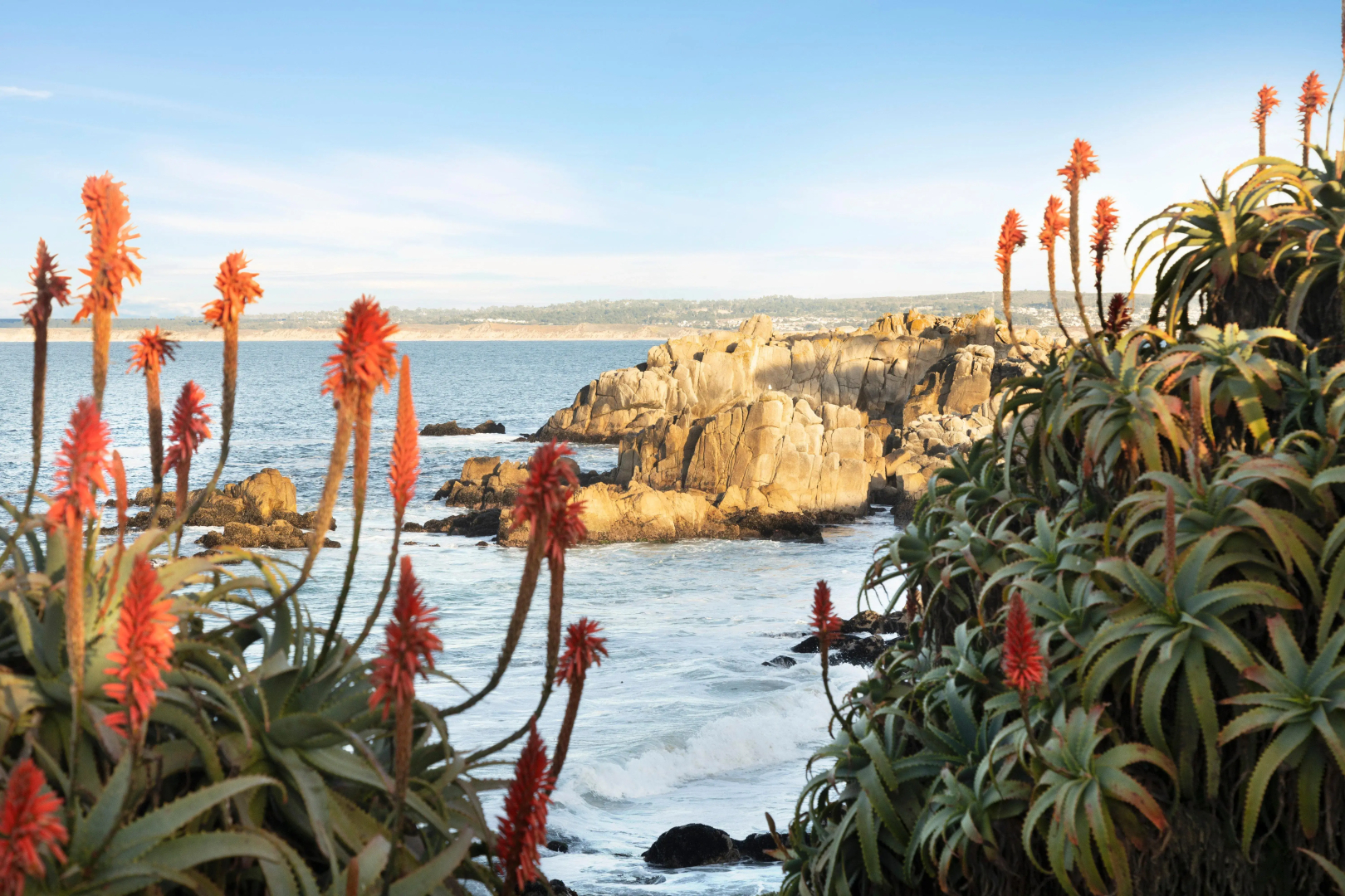 InterContinental the Clement Monterey by IHG