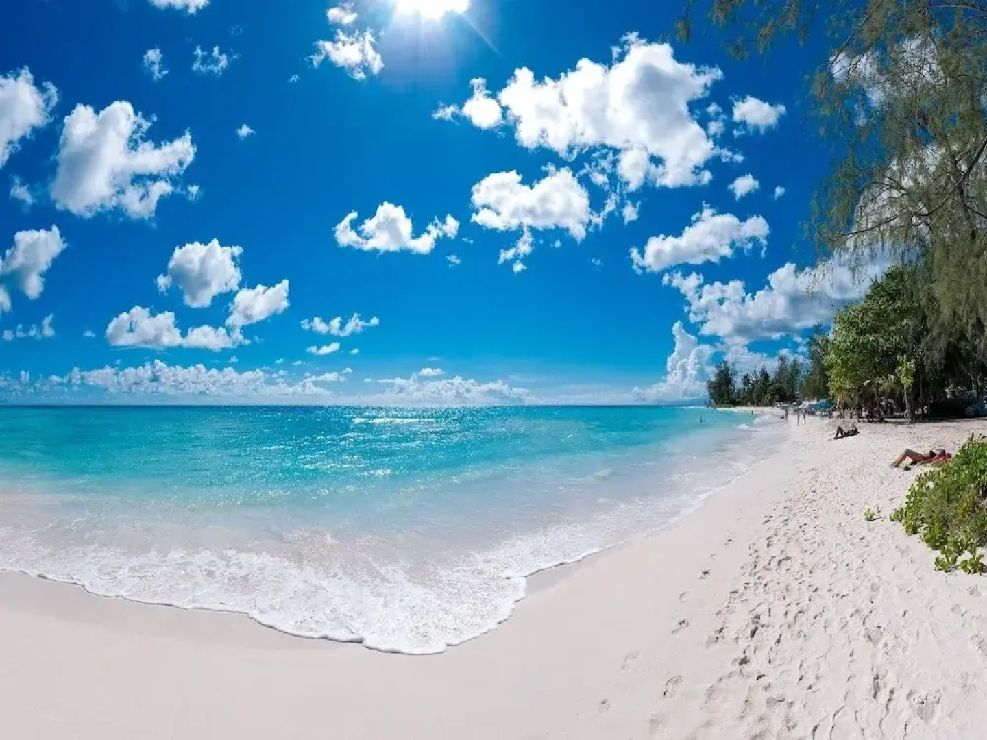 Bella Figura by BSL Rentals