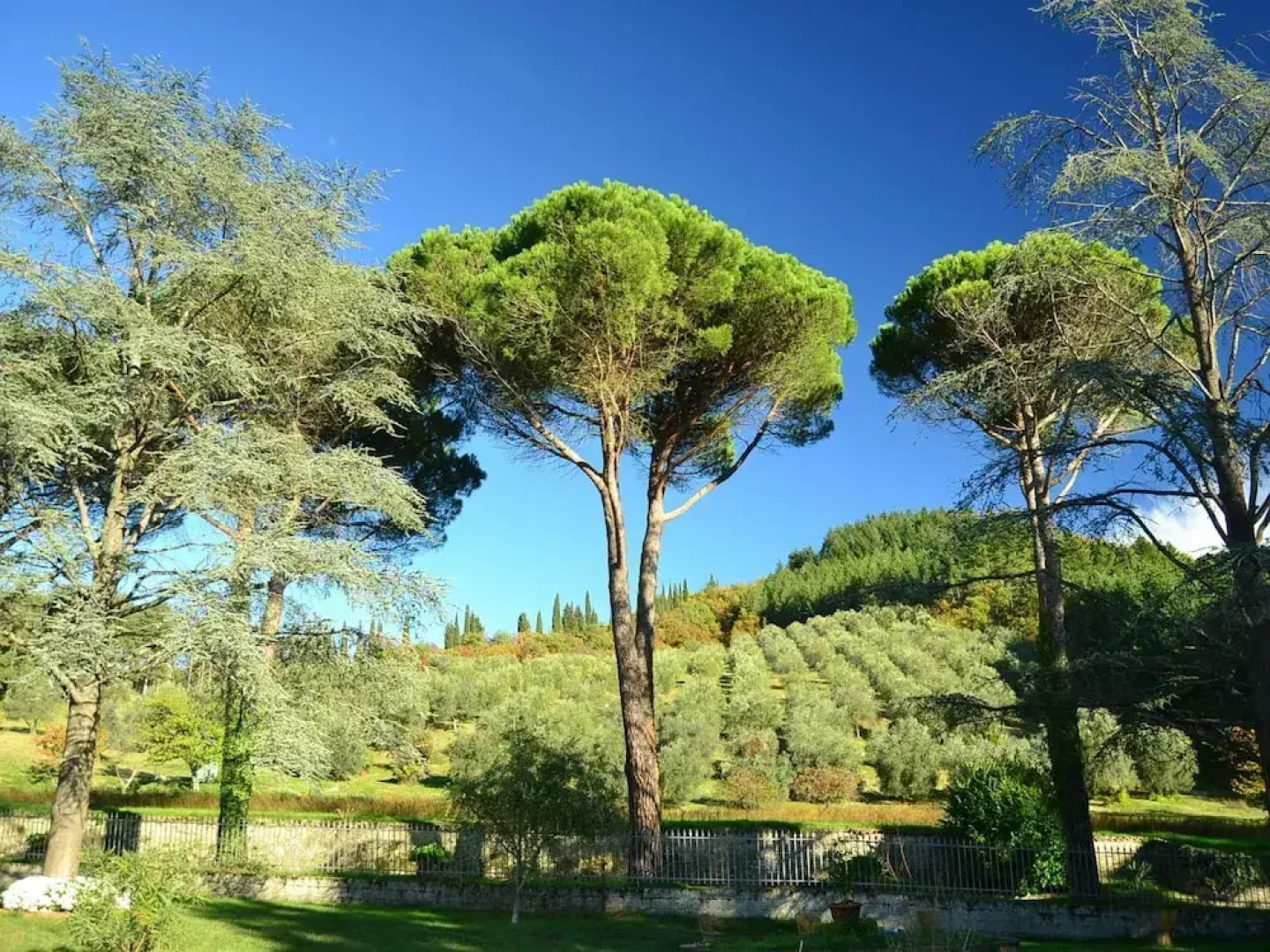 Holiday Home in Dicomano