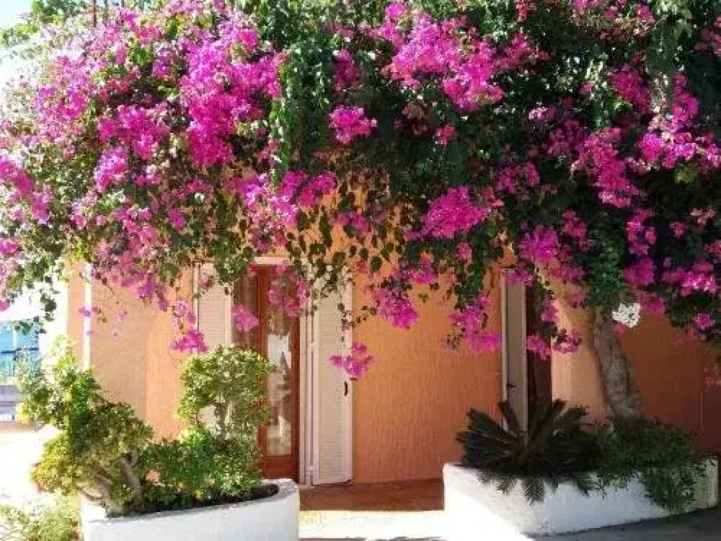 Constantinos Apartments