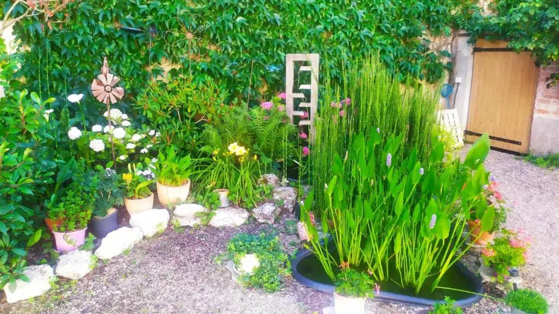 Les Salamandres, chambres d'hôtes près de Chambord