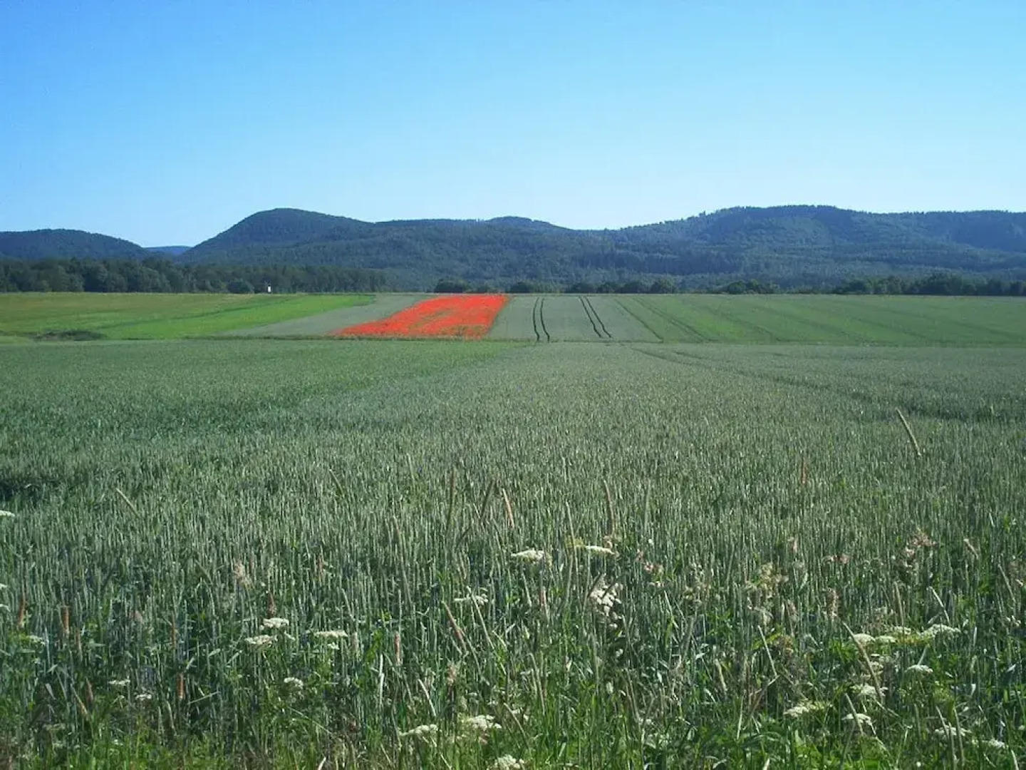 Ferienwohnung Stricker Harz
