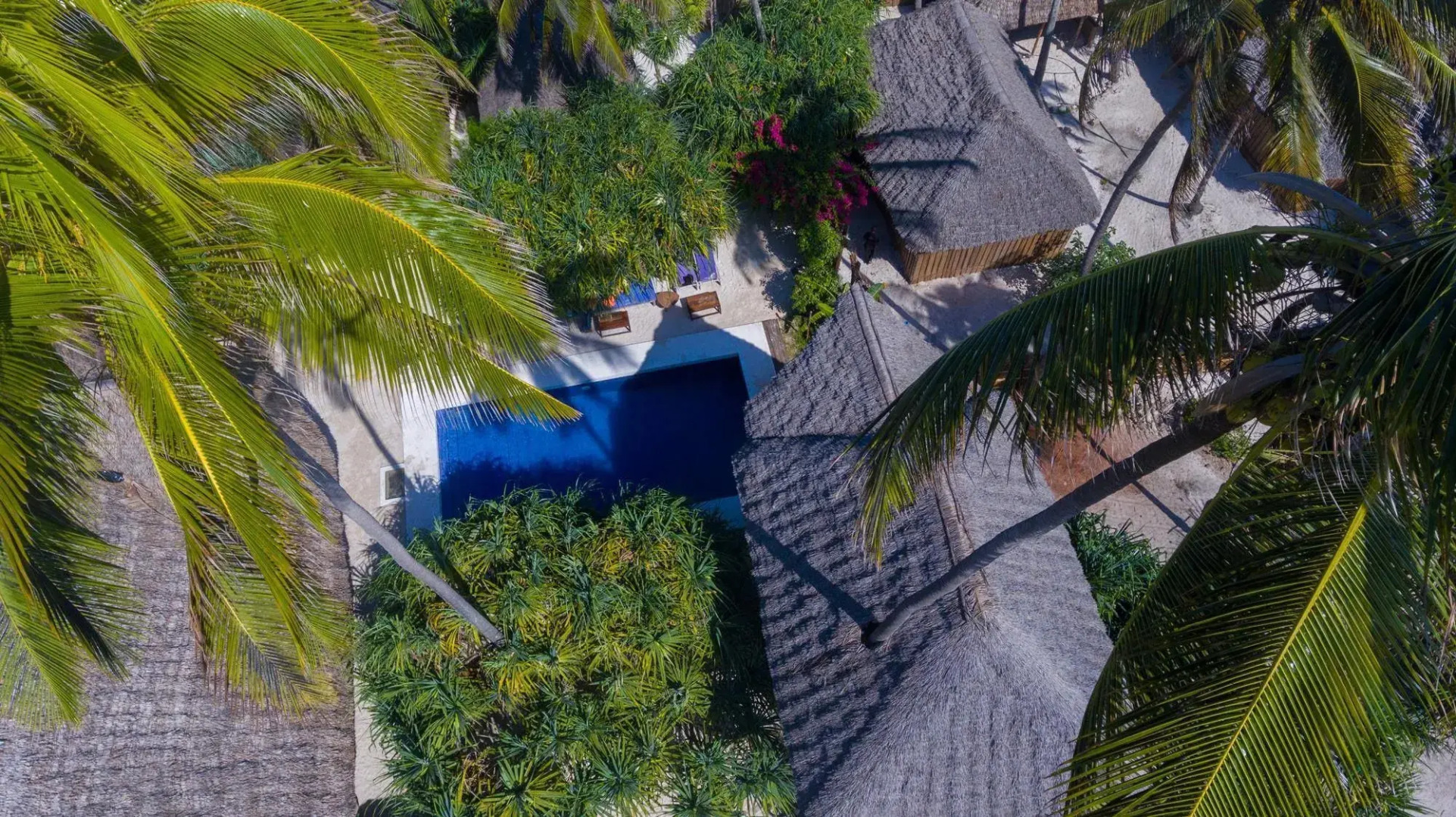 Zanzibar Sunrise at Bandas