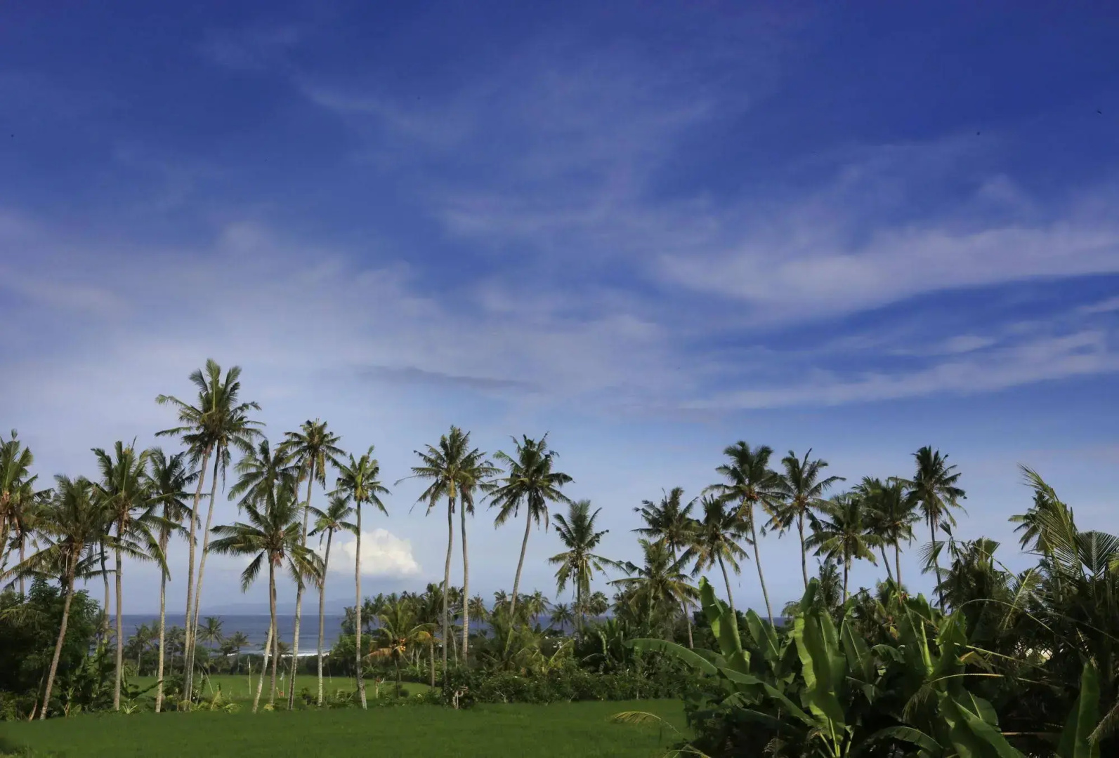 The Garga Beach Villas