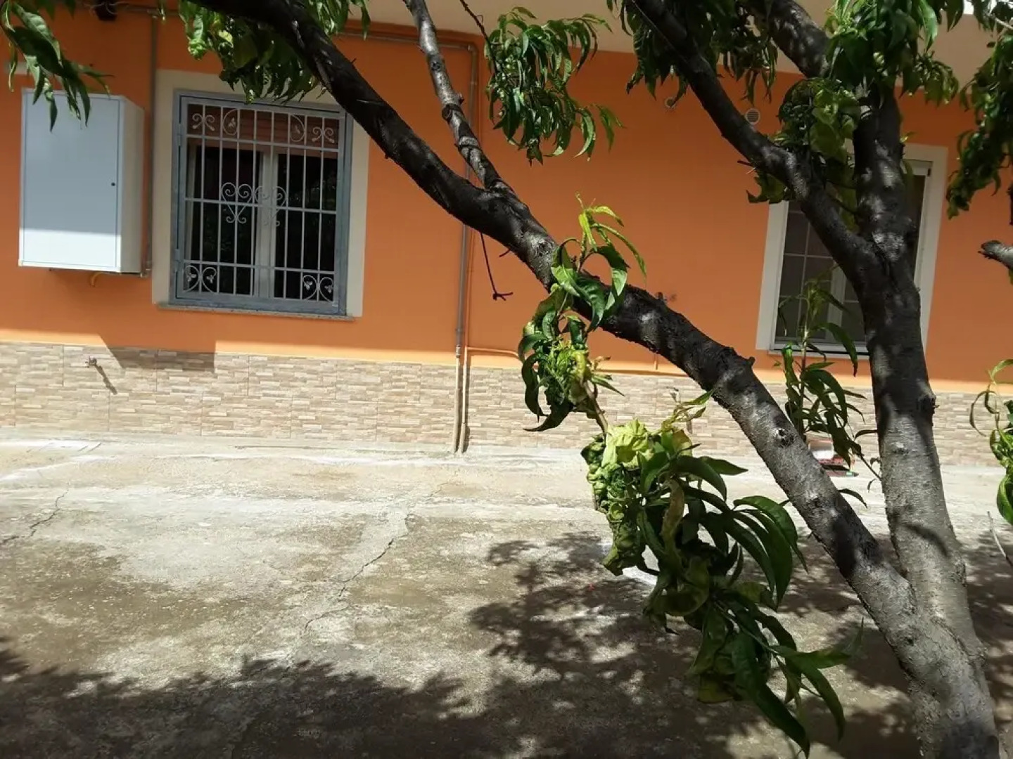 Apartment With one Bedroom in Acconia, With Furnished Garden and Wifi