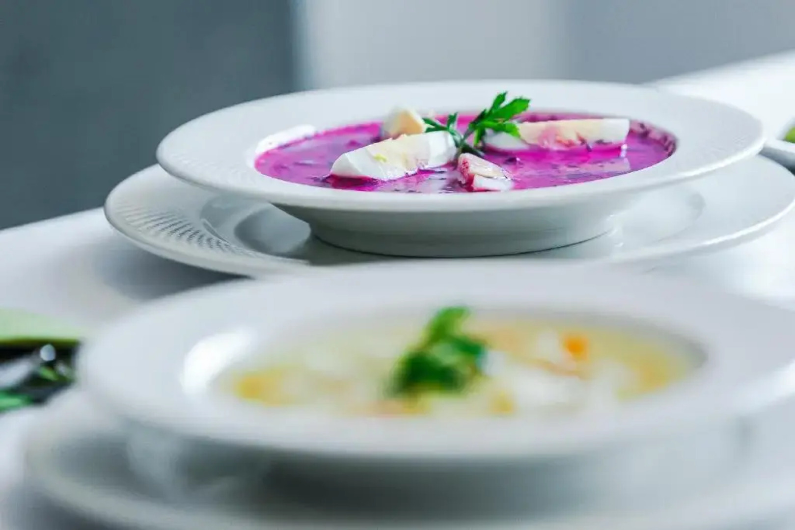 Hotel Willa Odkrywców