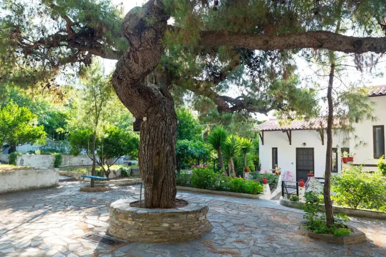 ILIOCHARI sea view apartments Oropos - Kalamos