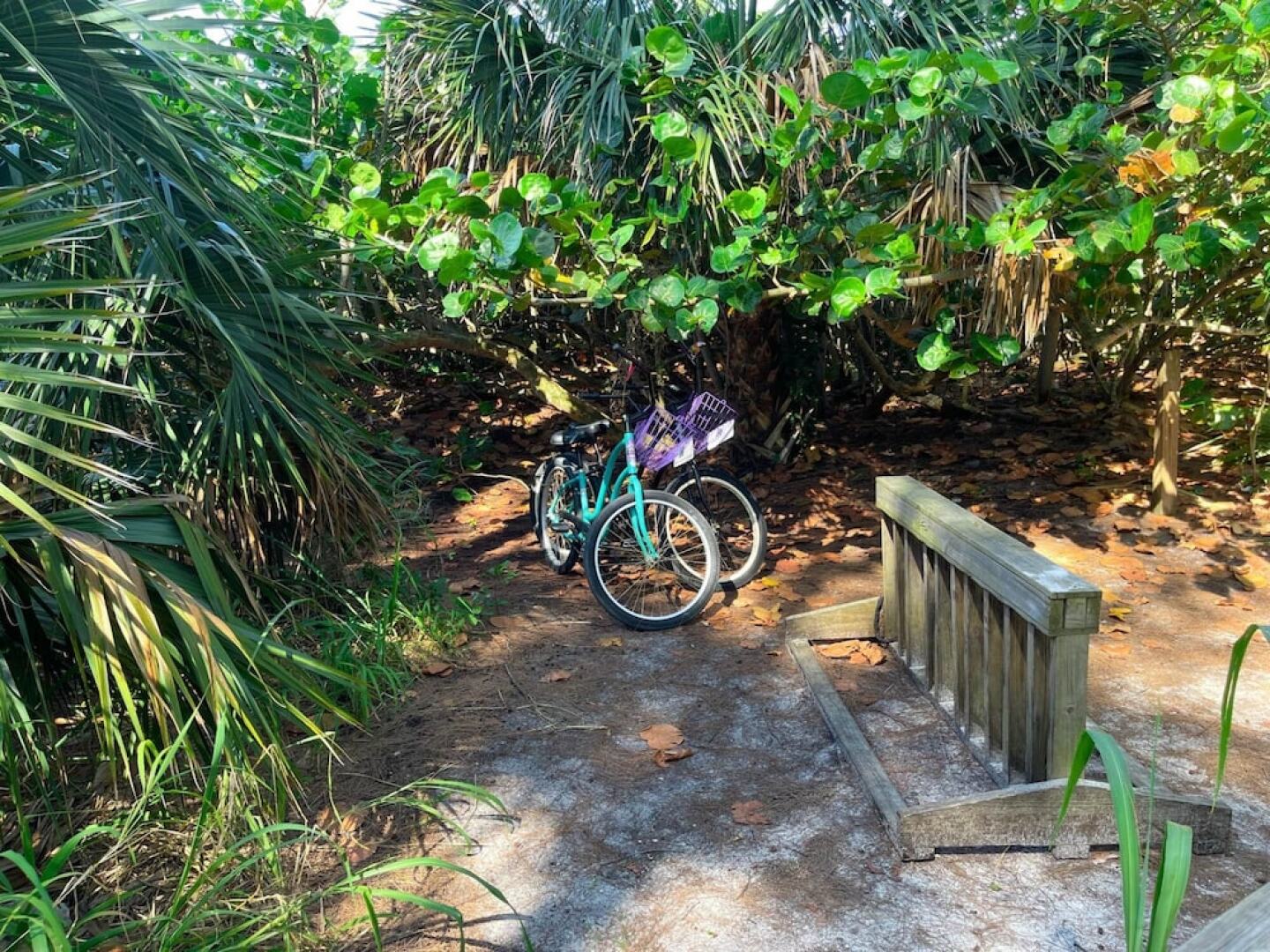 Anna Maria Beach Serenity