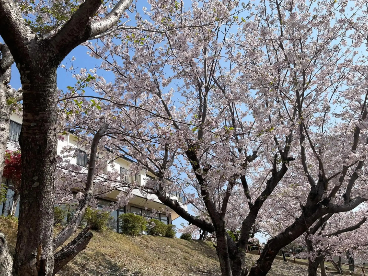 Tsushima Grand Hotel