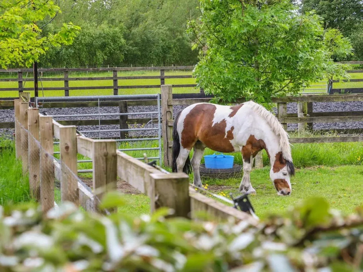 Barn Owl Cottage At Crook Hall Farm
