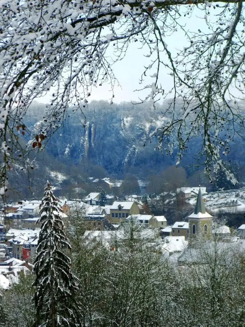 Le Chantoir des Lépiotes