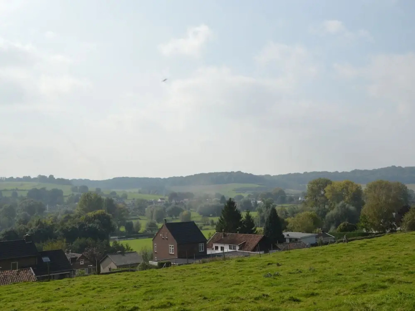 Homely Apartment in Schin op Geul With Terrace