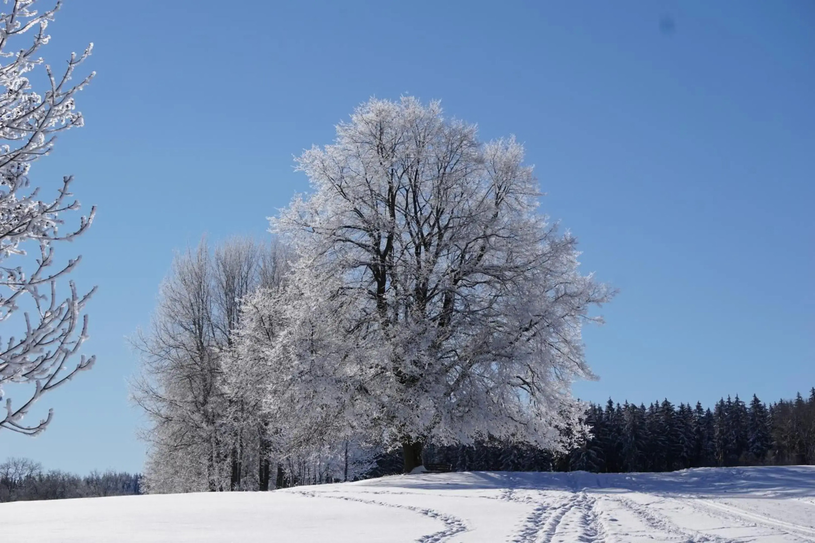 Wanderlust - Thüringer Wald, Rennsteig, Finsterbergen