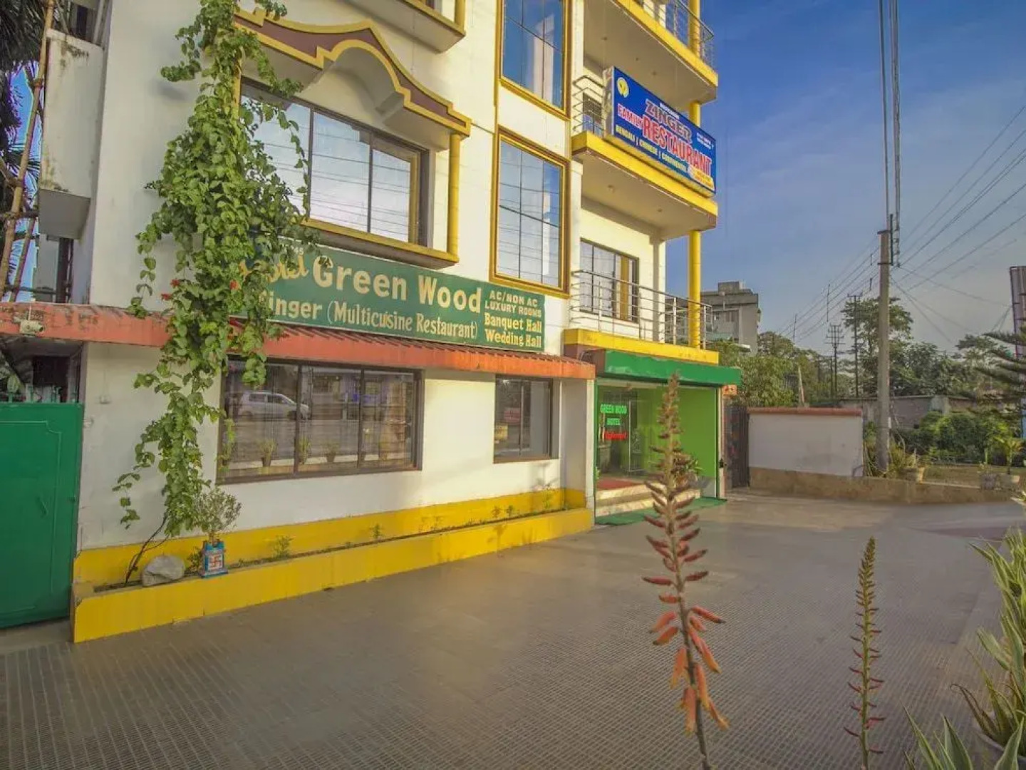 OYO 12751 Greenwood Hotel