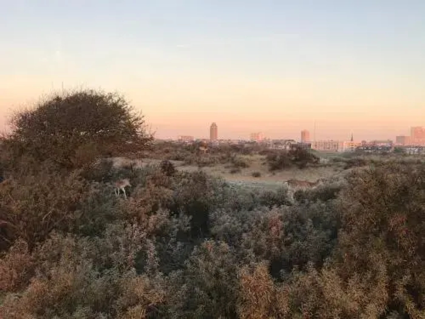 Appartement Beach House Le Grand Bleu