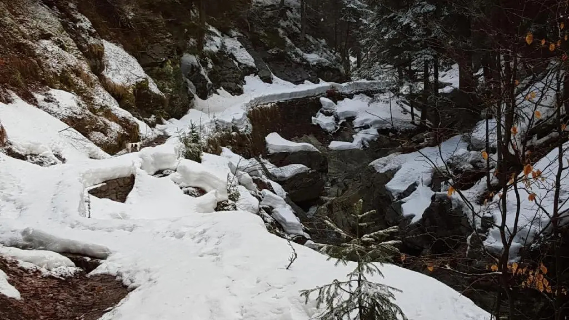 Chata - Srub Kašparáci