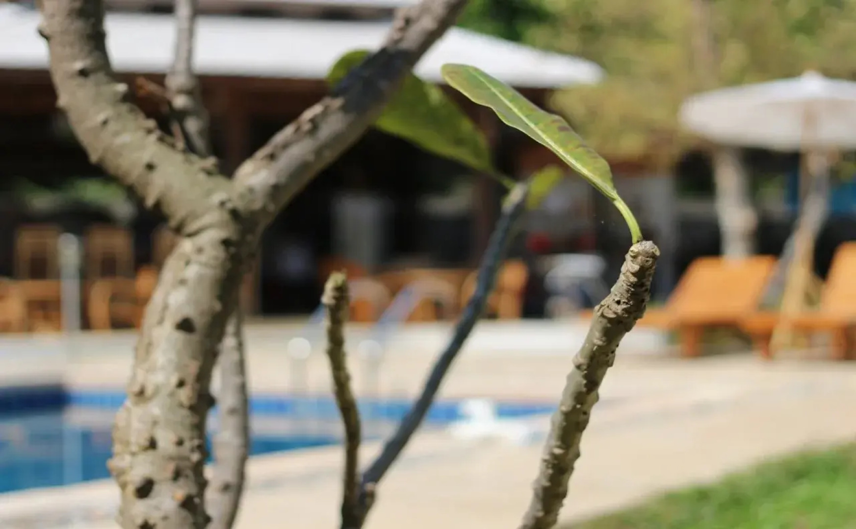 Patarada Boutique House