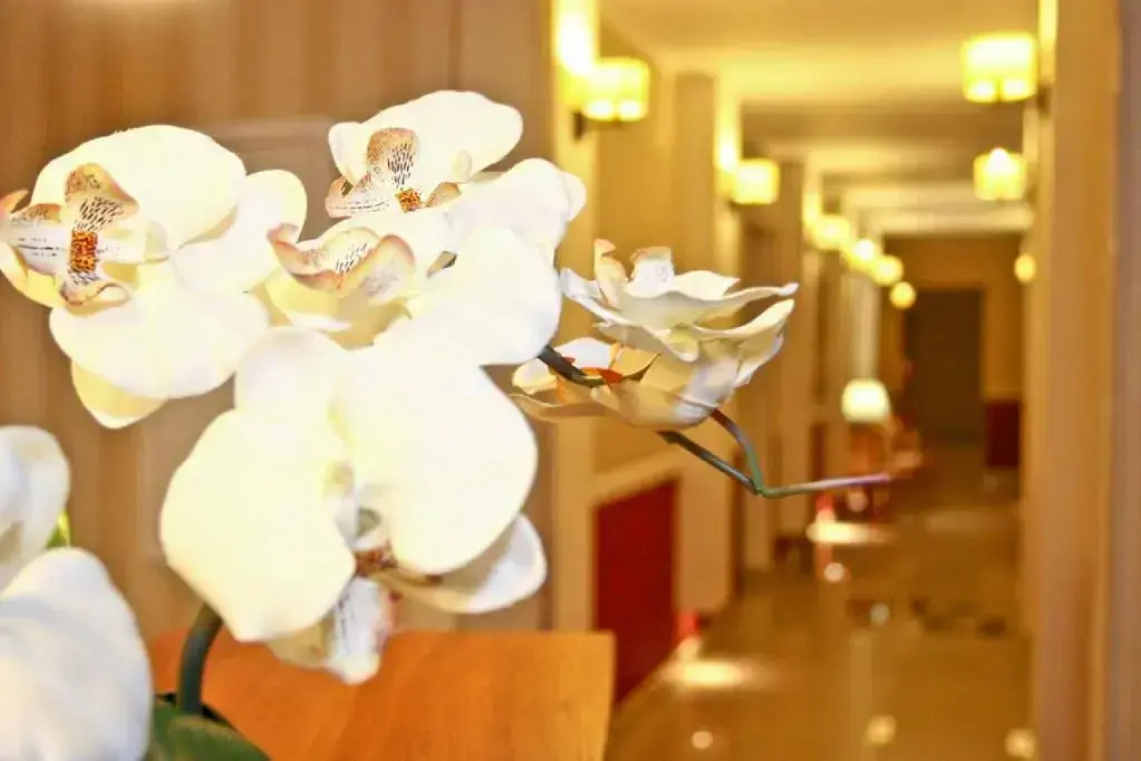 Отель «Четыре сезона»