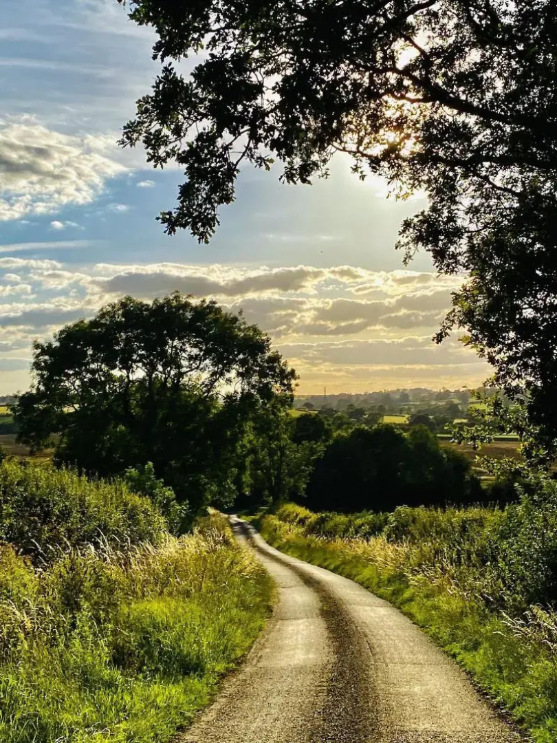 The Old Pheasant Hotel