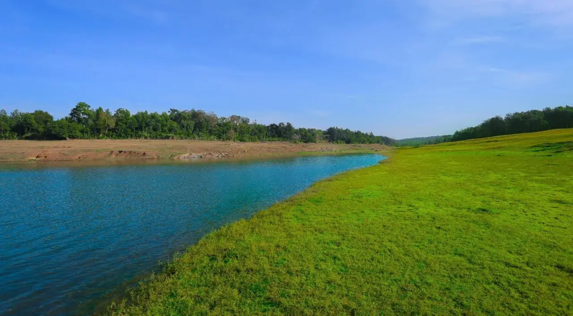 Treebo Trip River Tern Coorg