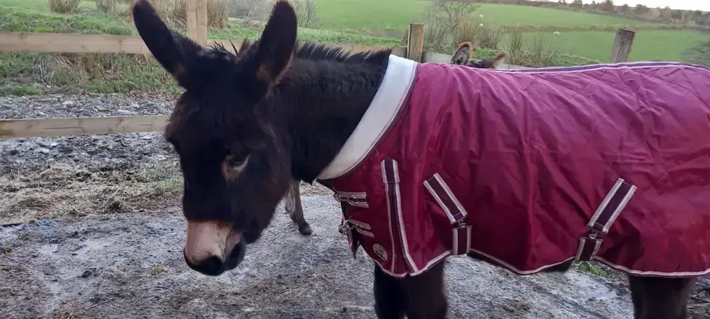 Inviting 2-bed Cottage in Newcastle Emlyn