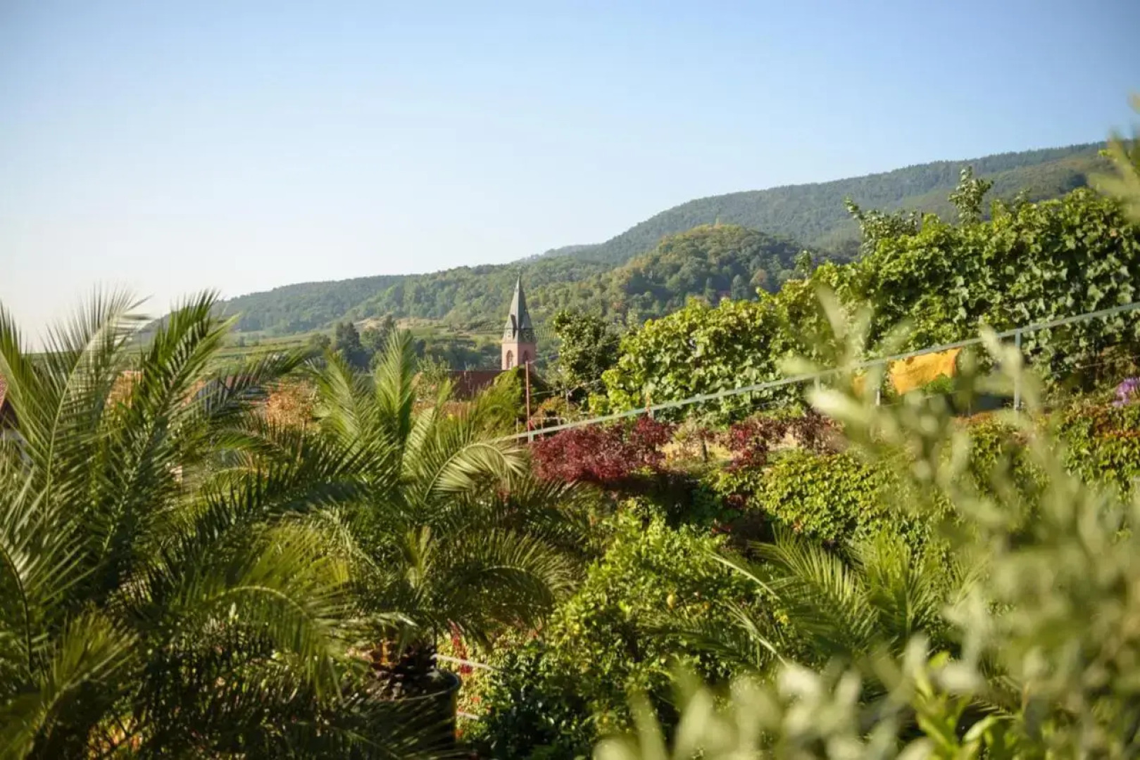 Gästehaus Palatinum