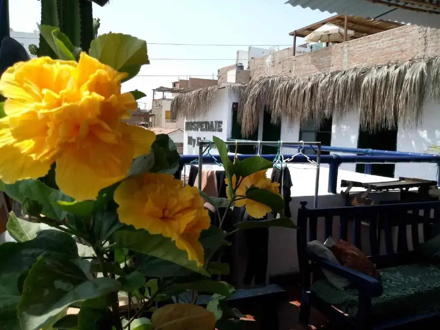 My Friend Surf Hostal