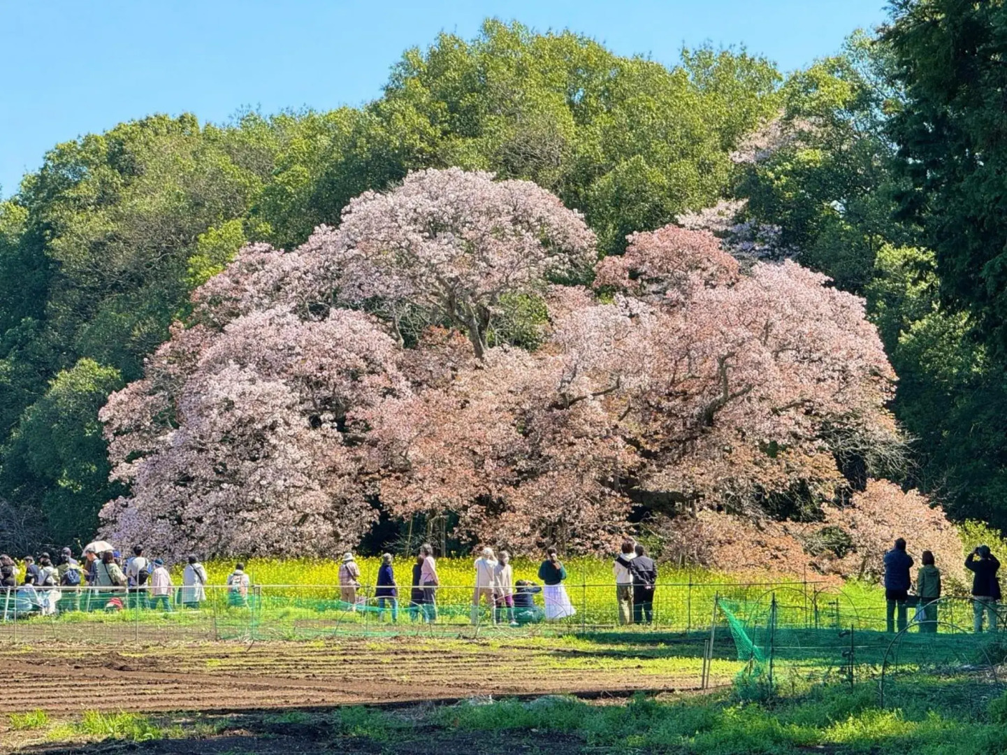 TanTei / Vacation STAY 5504