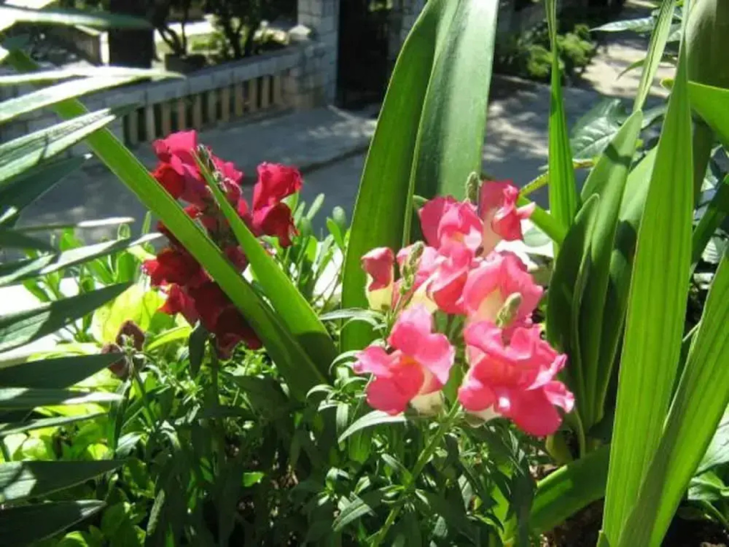 House Boninovo - Adults Only