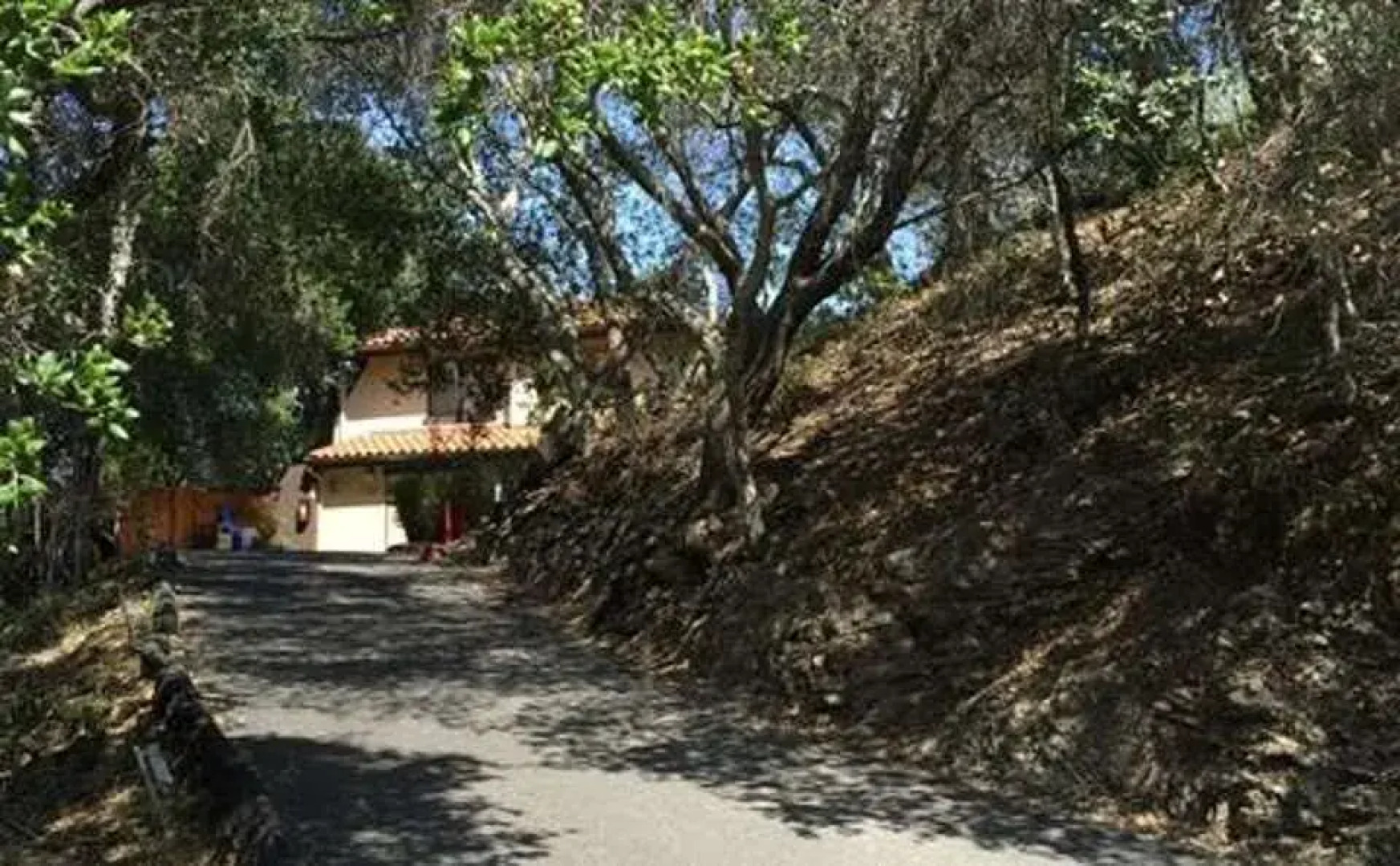 Sycamore Mineral Springs