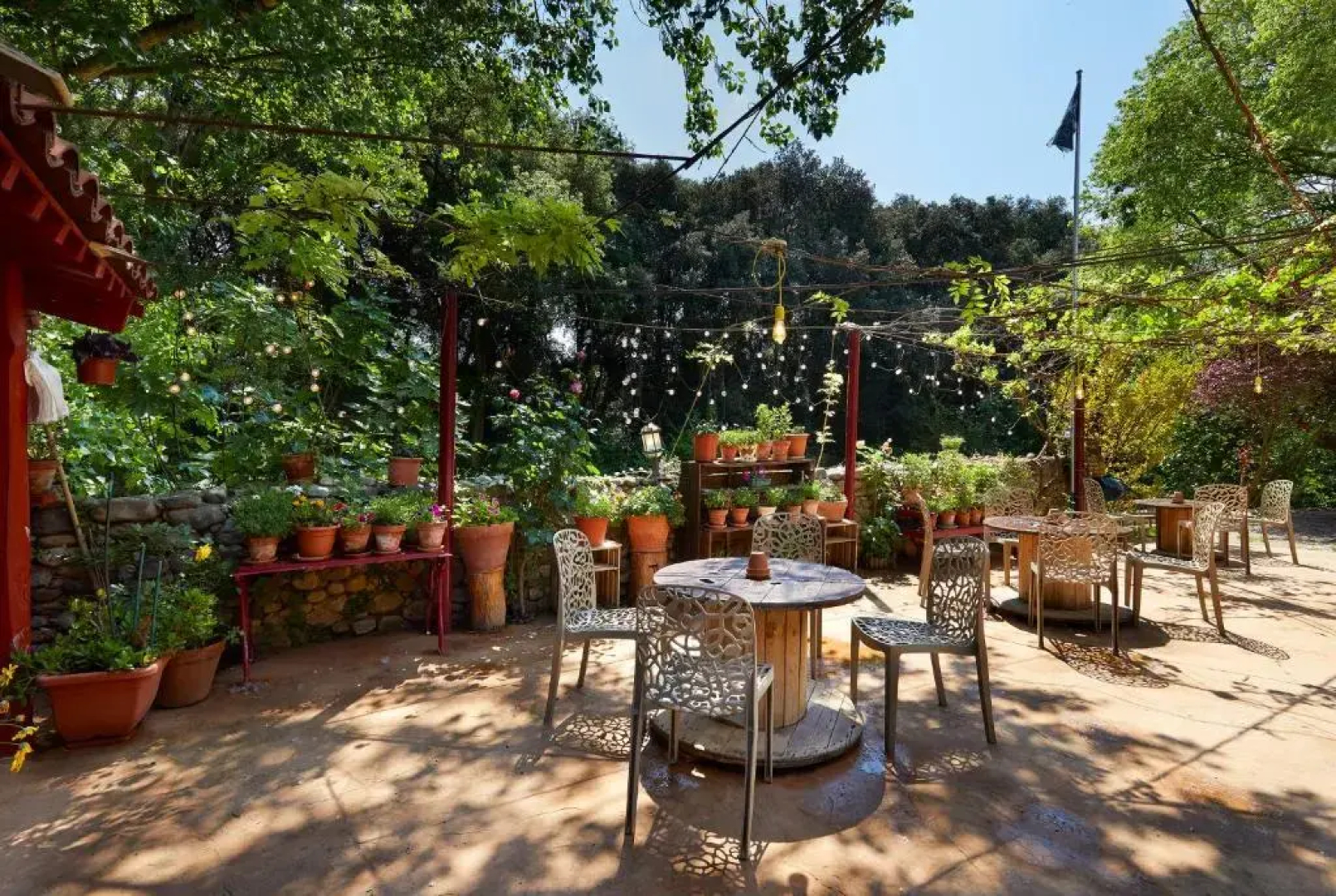 Mas Torrencito  Pet Friendly