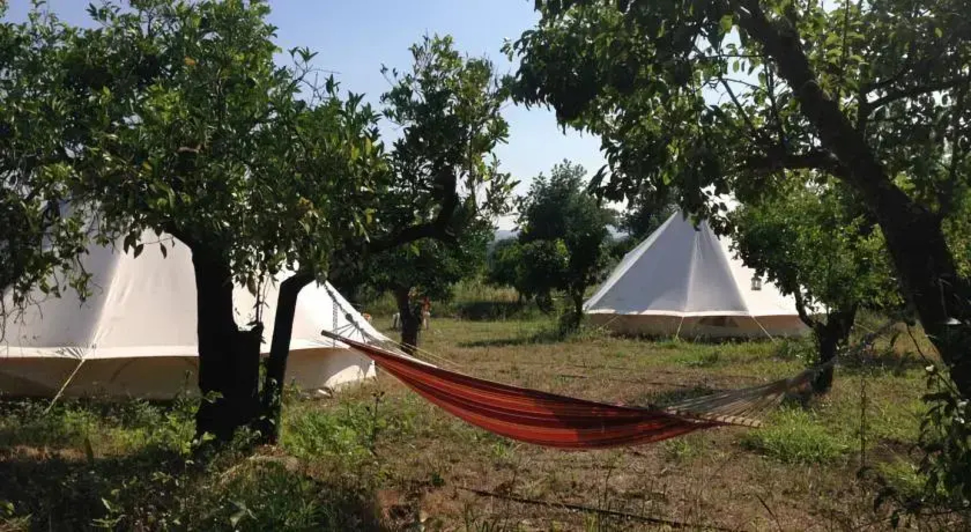Orange Tree Garden - Glamping Haven