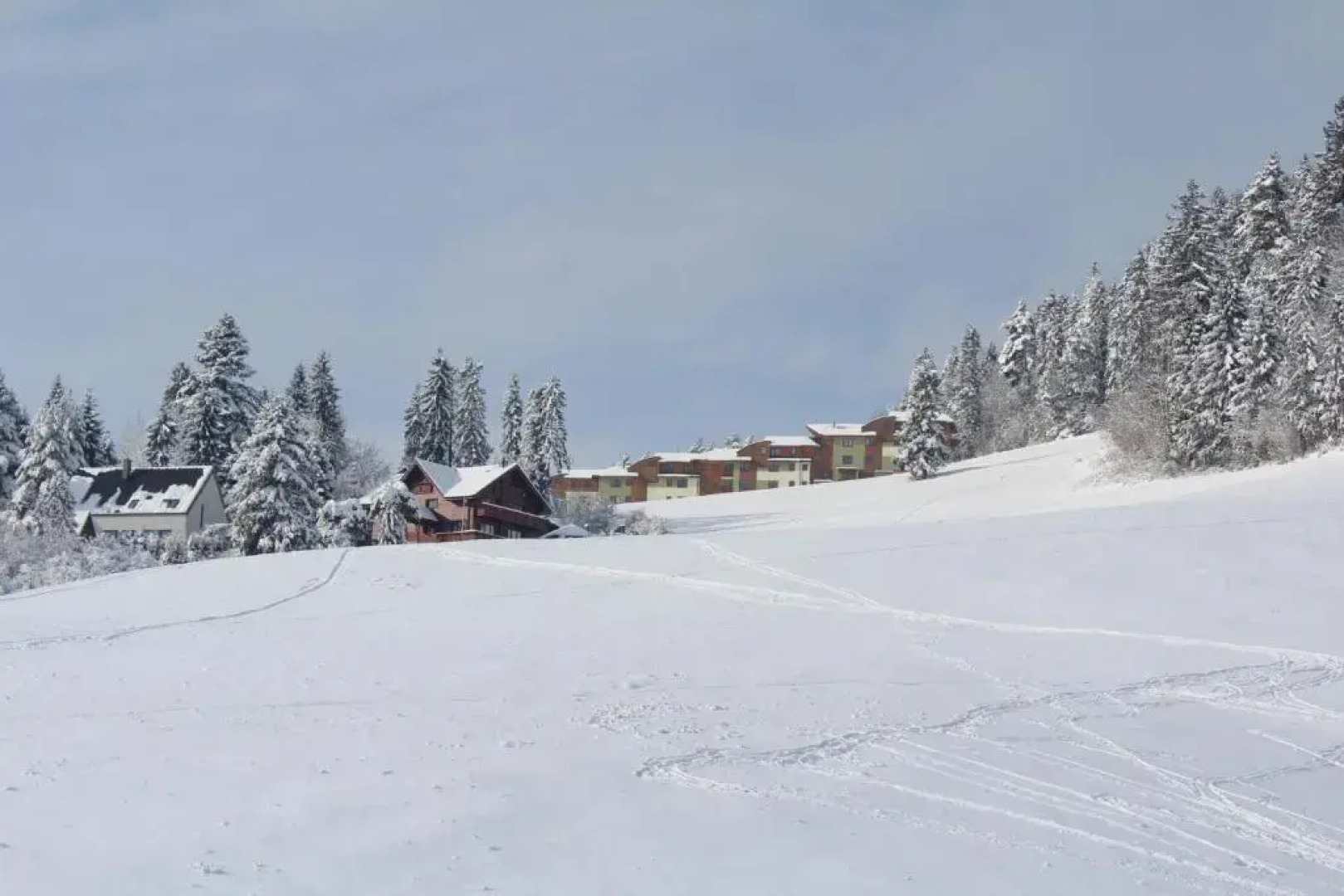 Apartman Tereza Pine wood