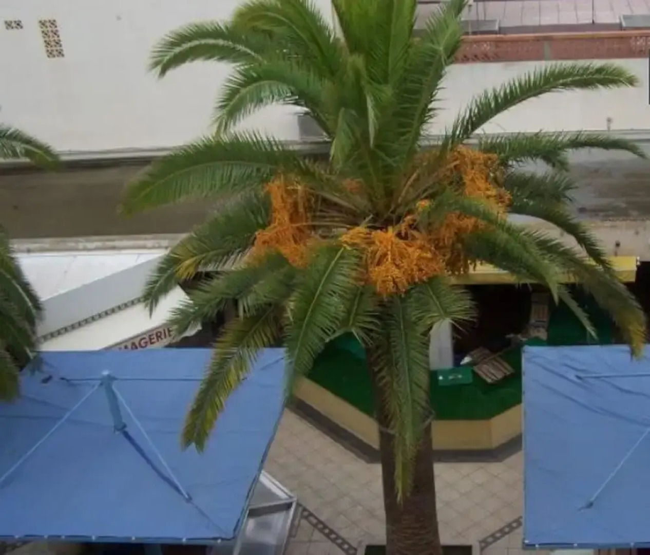 Studio in Valras-plage, With Wonderful City View and Furnished Garden