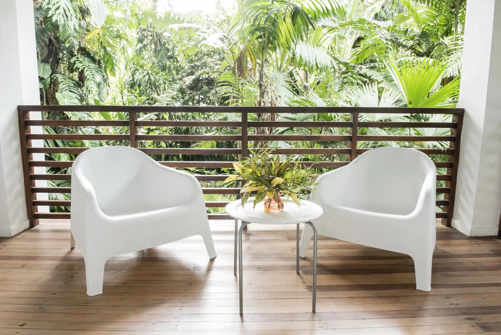 Le Cameleon Puerto Viejo