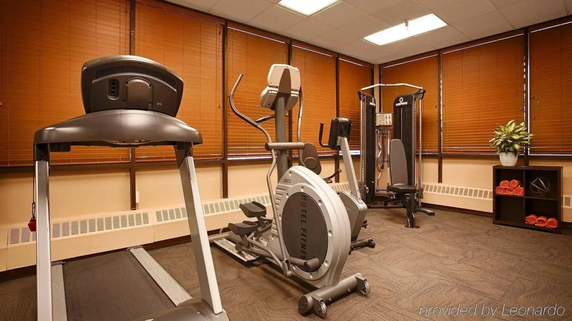 Best Western Golden Lion Hotel