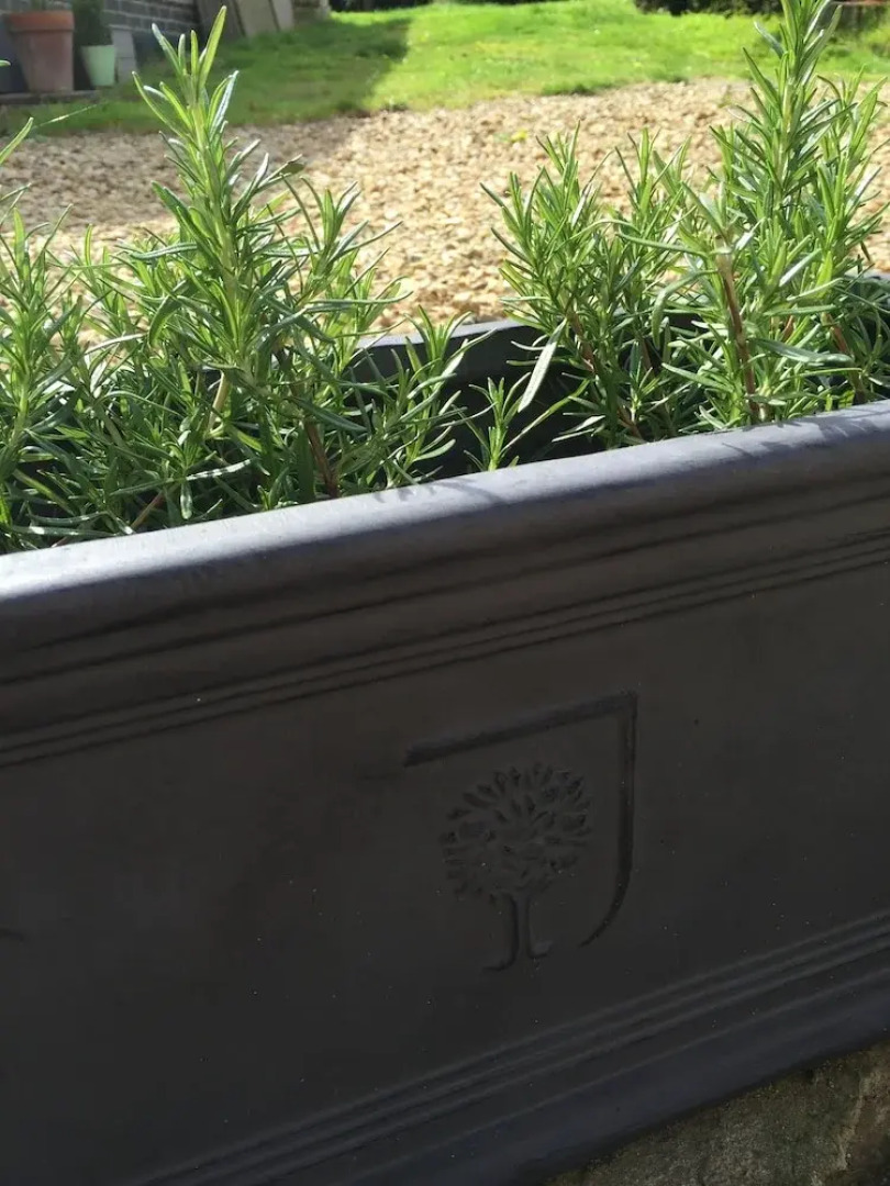 The Cherry Orchard B&B