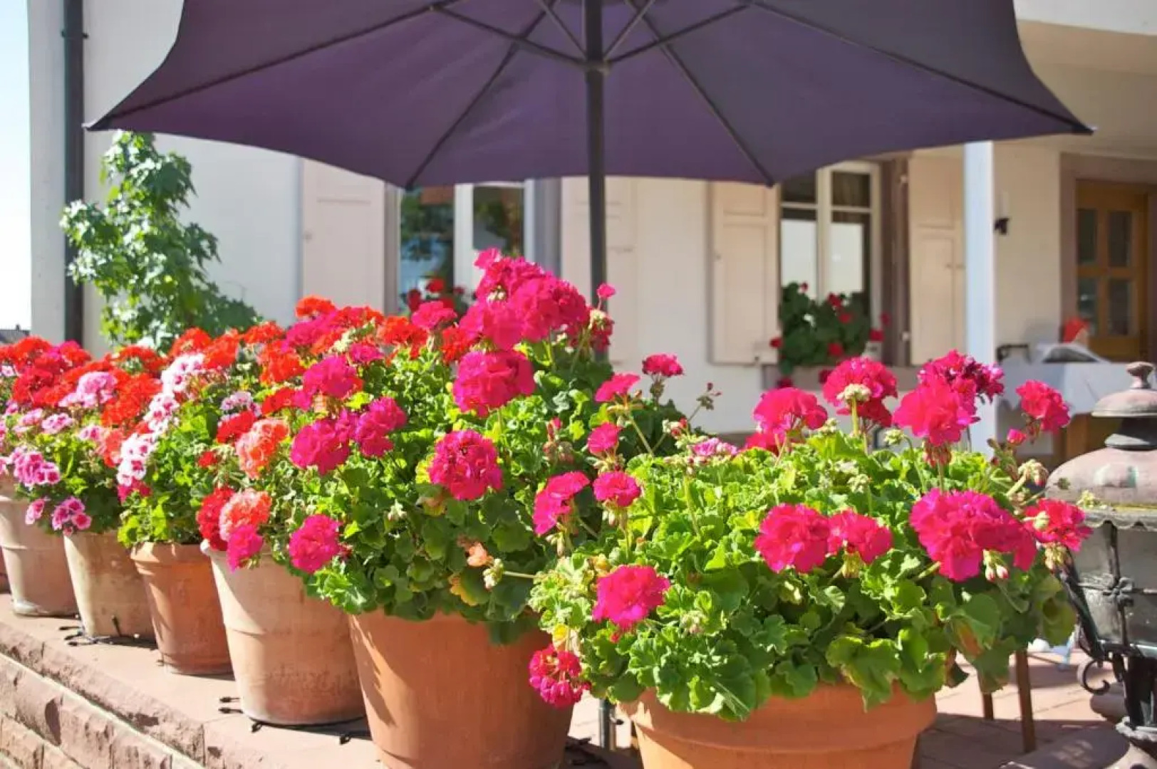 Hotel-Restaurant Hirsch