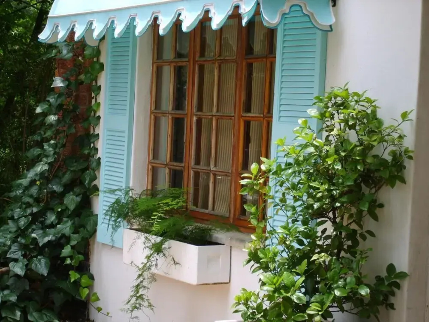 Emerald Guest House Springs